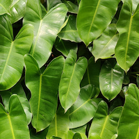 May Flowers Horticulture Installation 30